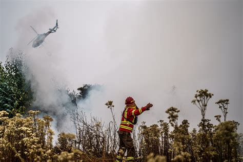 wildfires in chile 2024