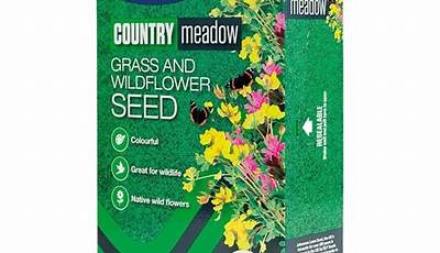 Wildflower Seeds Bulk Ireland