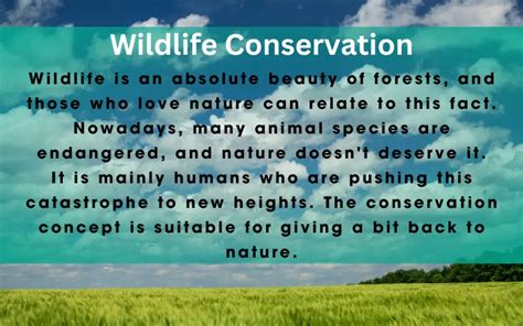 wildlife conservation means