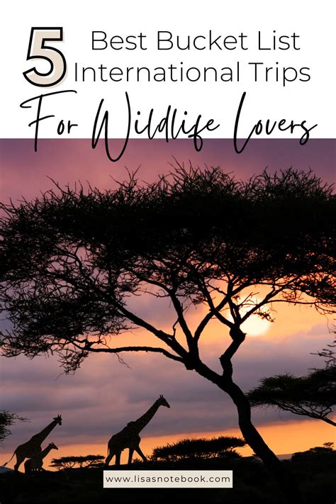 wildlife lovers