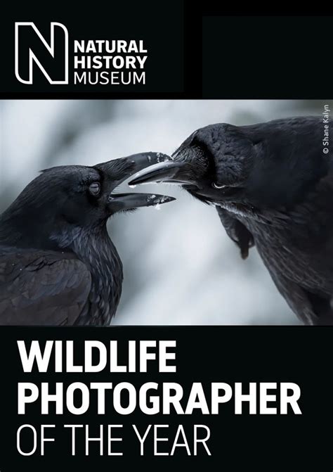 wildlife photographer of the year 2024 diary