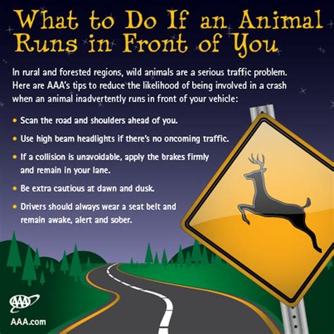 wildlife road safety tips