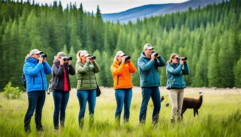 wildlife viewing