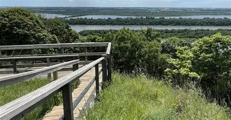 Wilkinson Renwick Marsh