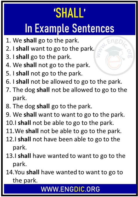will/shall use in a sentence