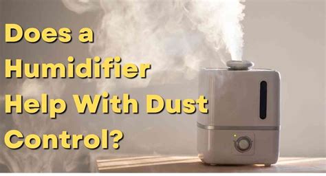 Will A Humidifier Help With Dust