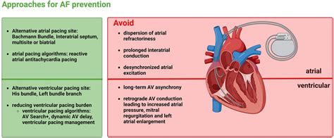 Will A Pacemaker Help With Afib