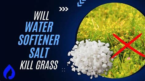 Will A Water Softener Kill Grass