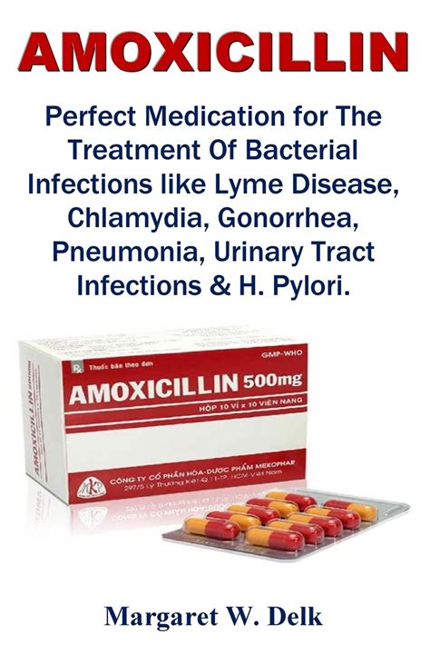 will amoxicillin treat lyme