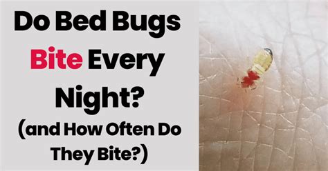 Will Bed Bug Bite Every Night