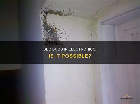 Will Bed Bugs Get Into Electronics
