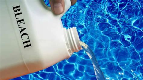 Will Bleach Kill Algae In My Pool