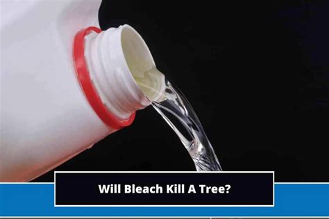 will bleach kill yeast