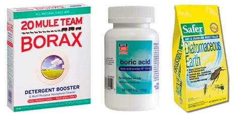 7 Quick Ways to Kill Centipedes