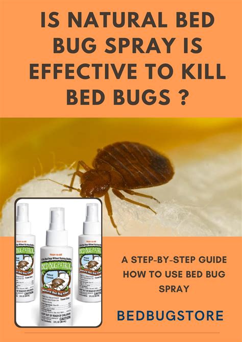 Will Bug Stop Kill Bed Bugs