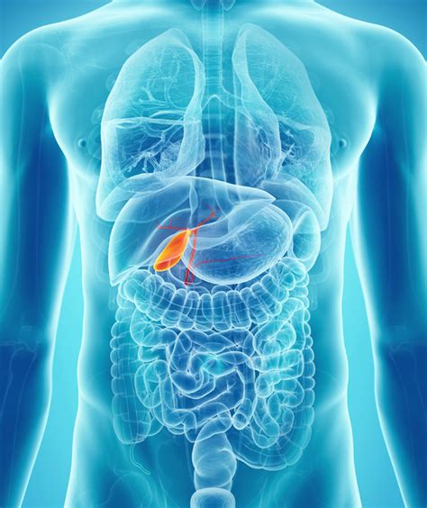 will colonoscopy show gallbladder problems