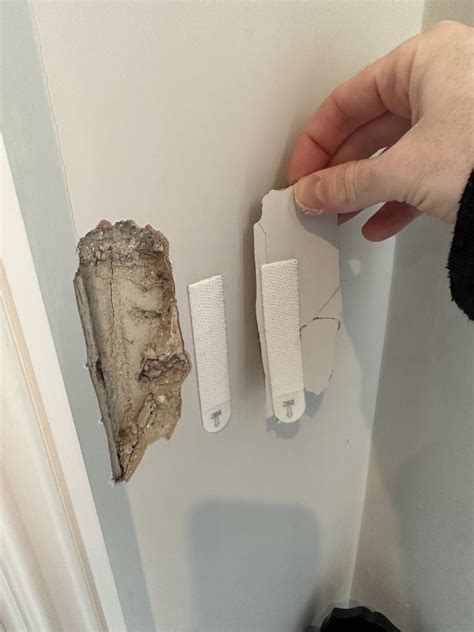 Will Command Hooks Damage Paint