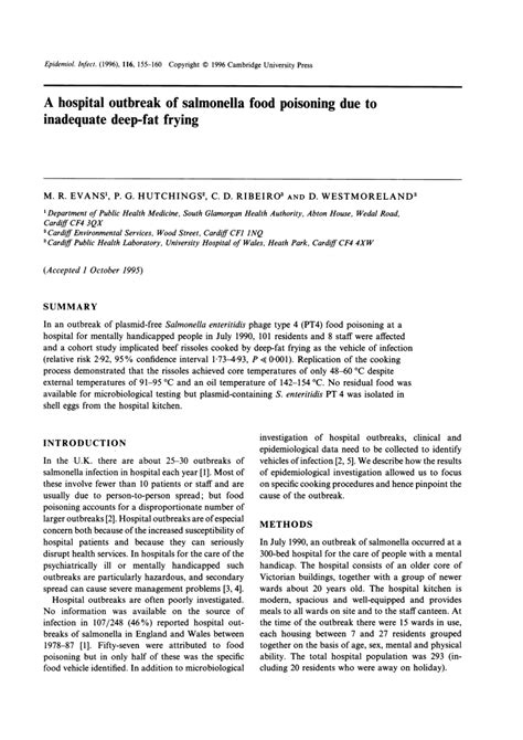 Will Deep Frying Kill Salmonella