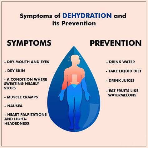 Can Dehydration Cause Palpitations: Understanding the Hidden Link