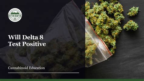 Will Delta 8 Test Positive