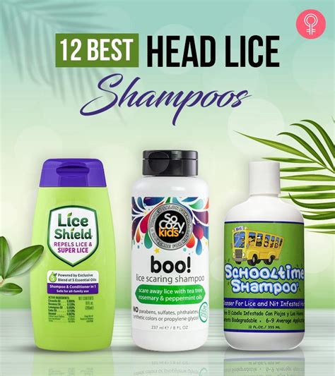 Will Dog Shampoo Kill Human Head Lice