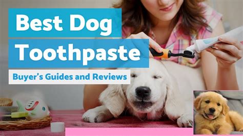Will Dog Toothpaste Remove Tartar