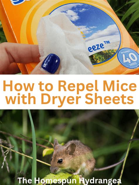 Will Dryer Sheets Repel Fleas