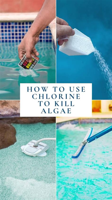 Will Extra Chlorine Kill Algae