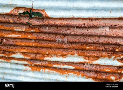 Will Galvanized Fence Rust