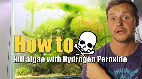 Will Hydrogen Peroxide Kill String Algae
