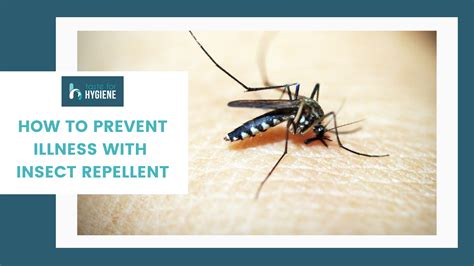Will Insect Repellent Work On Wasps
