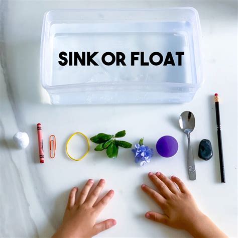 Will It Float Or Sink Experiment