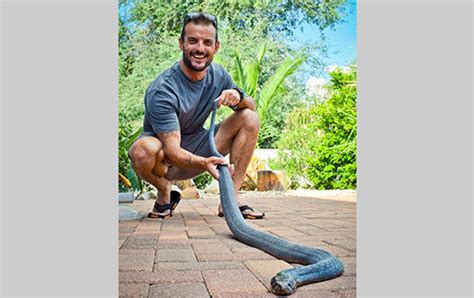 Will Kerosene Kill Snakes