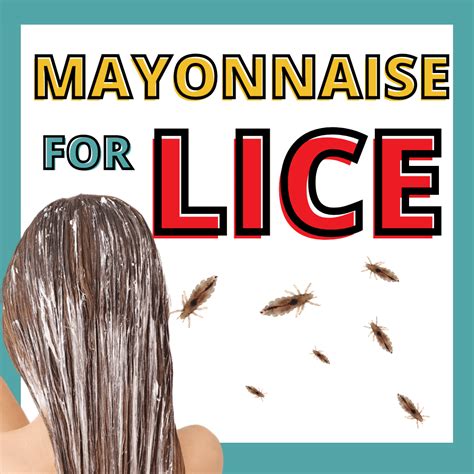 Will Mayonnaise Kill Lice