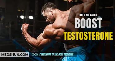 will nolvadex increase testosterone
