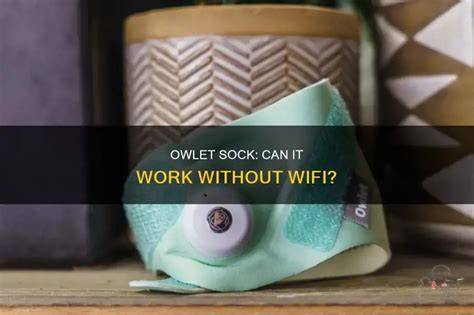 Owlet Case Study Knowing if a Marketing Message is Working