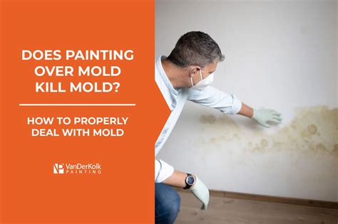 Will Painting Over Mold Kill It