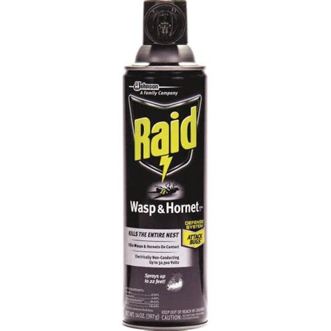 Will Raid Kill Wasps