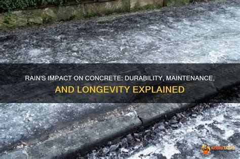 Will Rain Affect My Concrete