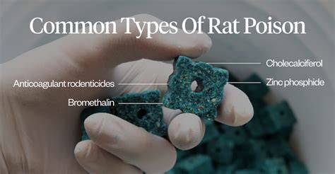 Discover 6 Insights will rat poison kill cats Your Pet's Safety Guide