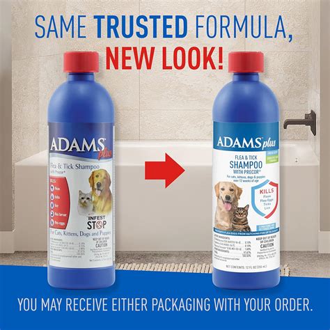 Will Regular Pet Shampoo Kill Fleas