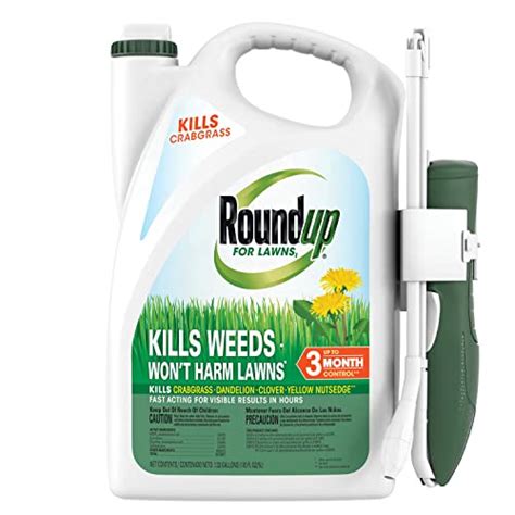 Will Roundup Kill Reeds