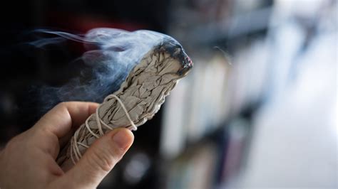 Will Sage Keep Bugs Away