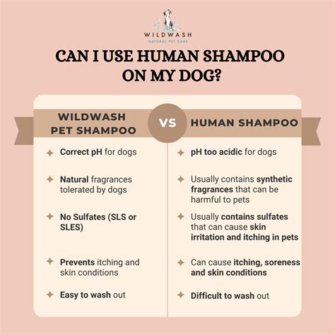 Will Shampoo Harm A Dog