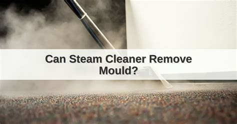 Will Steam Cleaning Remove Mould