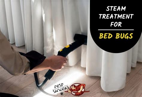 Will Steam Kill Bed Bugs And Eggs