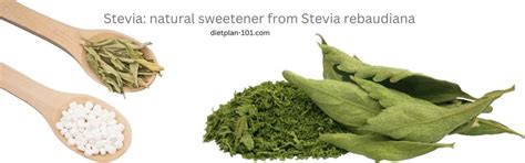 Will Stevia Affect Ketosis