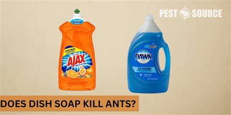 Will Sunlight Dish Soap Kill Ants