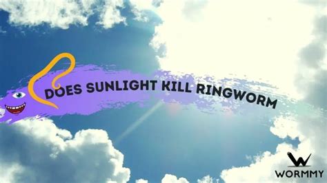 Will The Sun Kill Ringworm