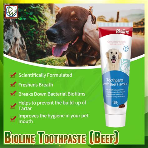Will Toothpaste Kill A Dog